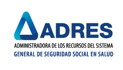 Nullam euismod commodo