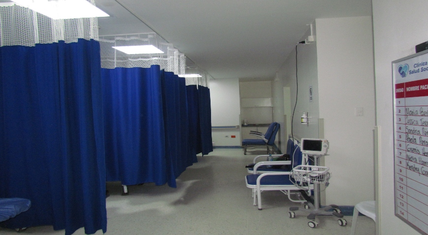 Quisque venenatis mi