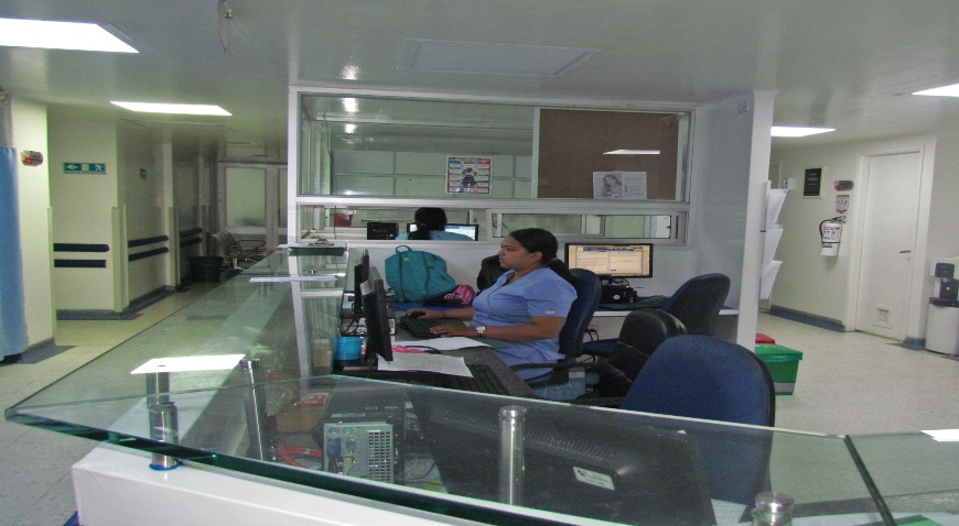 Quisque venenatis mi